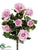 Confetti Rose Bush - Pink Two Tone - Pack of 6