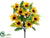 Rudbeckia Bush - Yellow - Pack of 12