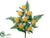 Rose Bud Bush - Yellow - Pack of 12