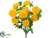 Ranunculus Bush - Yellow - Pack of 6