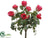 Rose Bush - Cerise - Pack of 6