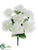 Rose Bush - White - Pack of 24