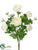 Ranunculus Bush - Cream - Pack of 6