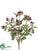 Rose Hip Bush - Burgundy - Pack of 12