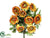 Ranunculus Bush - Orange - Pack of 12