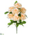 Rose Bush - Peach - Pack of 12