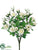 Rose Bush - Cream White - Pack of 24