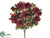 Rose Bush - Burgundy - Pack of 6