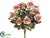 Rose Bush - Pink Rose - Pack of 6