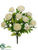 Ranunculus Bush - Cream - Pack of 12