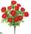 Ranunculus Bush - Flame - Pack of 12