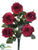 Rose Bush - Plum - Pack of 6