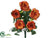 Rose Bush - Rust - Pack of 6