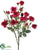 Rose Bush - Crimson Two Tone - Pack of 12