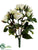 Rose Bush - Cream Green - Pack of 12