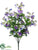 Sweet Pea Bush - Purple Helio - Pack of 12