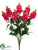 Snapdragon Bush - Beauty - Pack of 12