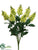 Snapdragon Bush - Green - Pack of 12