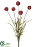 Silk Plants Direct Scabiosa Bush - Burgundy - Pack of 12