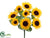 Sunflower Bush - Yellow - Pack of 12