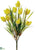 Tulip Bush - Yellow - Pack of 12