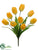 Tulip Bush - Yellow - Pack of 12