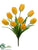 Tulip Bush - Yellow - Pack of 12