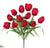 Tulip Bush - Red - Pack of 12