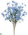 Tweedia Bush - Blue - Pack of 12