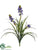 Veronica Bush - Blue Helio - Pack of 12