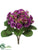 African Violet Bush - Violet - Pack of 12