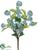 Viburnum Bush - Blue Light - Pack of 12