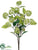 Viburnum Bush - Green Light - Pack of 12