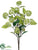 Viburnum Bush - Green Light - Pack of 12