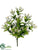 Wax Flower Bush - Cream - Pack of 12