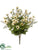 Daisy, Caspia Bush - Ivory Sage - Pack of 12