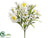 Daisy, Queen Anne's Lace Bush - Cream - Pack of 12