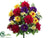 Dahlia, Daisy Bush - Red Purple - Pack of 6