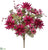 Dahlia, Mum Bush - Burgundy - Pack of 6