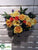 Rose, Daisy Bush - Yellow Orange - Pack of 6