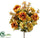 Peony, Mum Bush - Mustard Salmon - Pack of 6