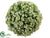 Blossom Orb - Green Light - Pack of 12