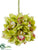 Cymbidium Orchid Kissing Ball - Green - Pack of 12