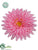 Gerbera Daisy - Pink White - Pack of 24