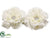 Peony Head - White - Pack of 6