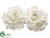 Peony Head - White - Pack of 6