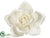 Silk Plants Direct Rose Hanging Flower Head - Cream White - Pack of 6