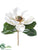 Magnolia Pick - White - Pack of 6