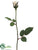 Rose Bud Spray - Vanilla - Pack of 24