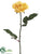 Rose Spray - Yellow - Pack of 12